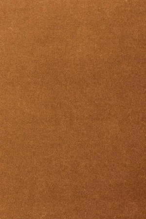 Ковровое покрытие AW Oinone 84 - (5м) в Красноярске