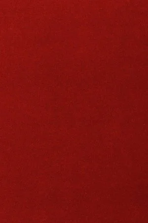 Ковровое покрытие AW Oinone 10 - (5м) в Красноярске