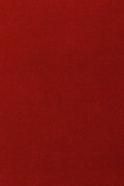 Ковровое покрытие AW Oinone 10 - (5м) в Красноярске