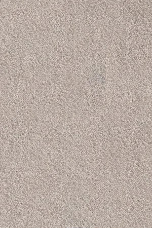 Ковровое покрытие AW Messalina 37 - (5м) в Красноярске