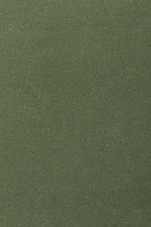 Ковровое покрытие AW Oinone 24 - (5м) в Красноярске