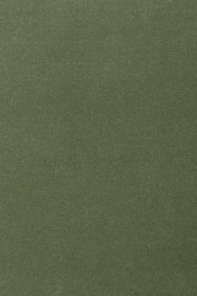 Ковровое покрытие AW Oinone 24 - (4м) в Красноярске