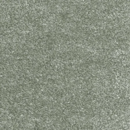 Ковровое покрытие AW Euphoria 28 - (5м) в Красноярске