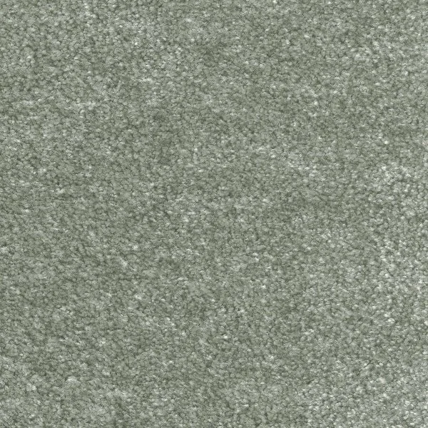 Ковровое покрытие AW Euphoria 28 - (5м) в Красноярске