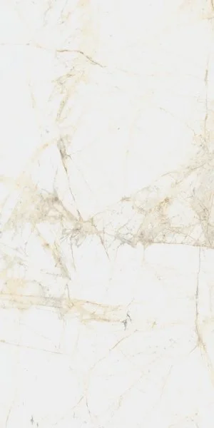 Керамогранит Coliseum Канова Уайт 60х120 (Натуральный и Реттифицированный) в Красноярске