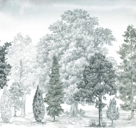 Обои Loymina Пейзаж vol. 2 ART14 011 в Красноярске