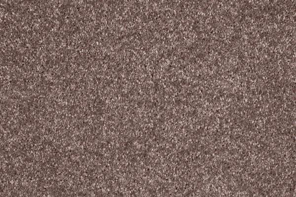 Ковровое покрытие AW Gala 60 - (5м) в Красноярске