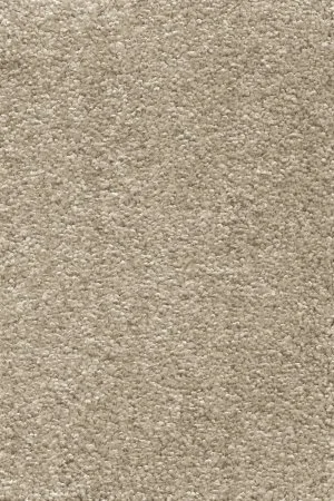 Ковровое покрытие AW Omnia 33 - (3м) в Красноярске